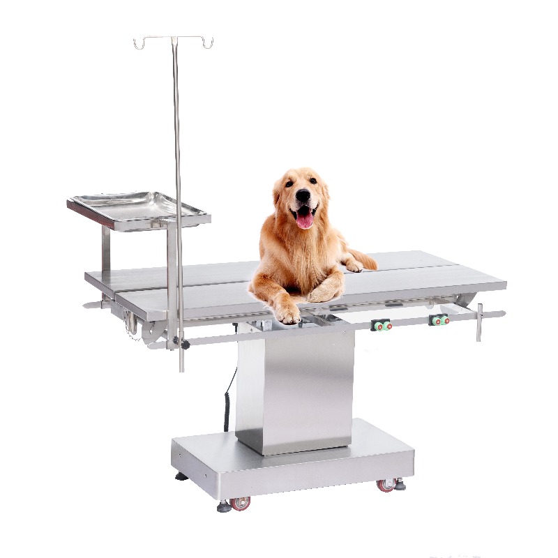 Pet Supplies Vet Clinic - Mesa de Exploración Veterinaria 2026, Mesa