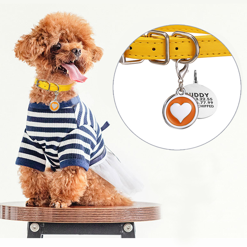 Pet Supplies Login - Collar de cuero para perro y