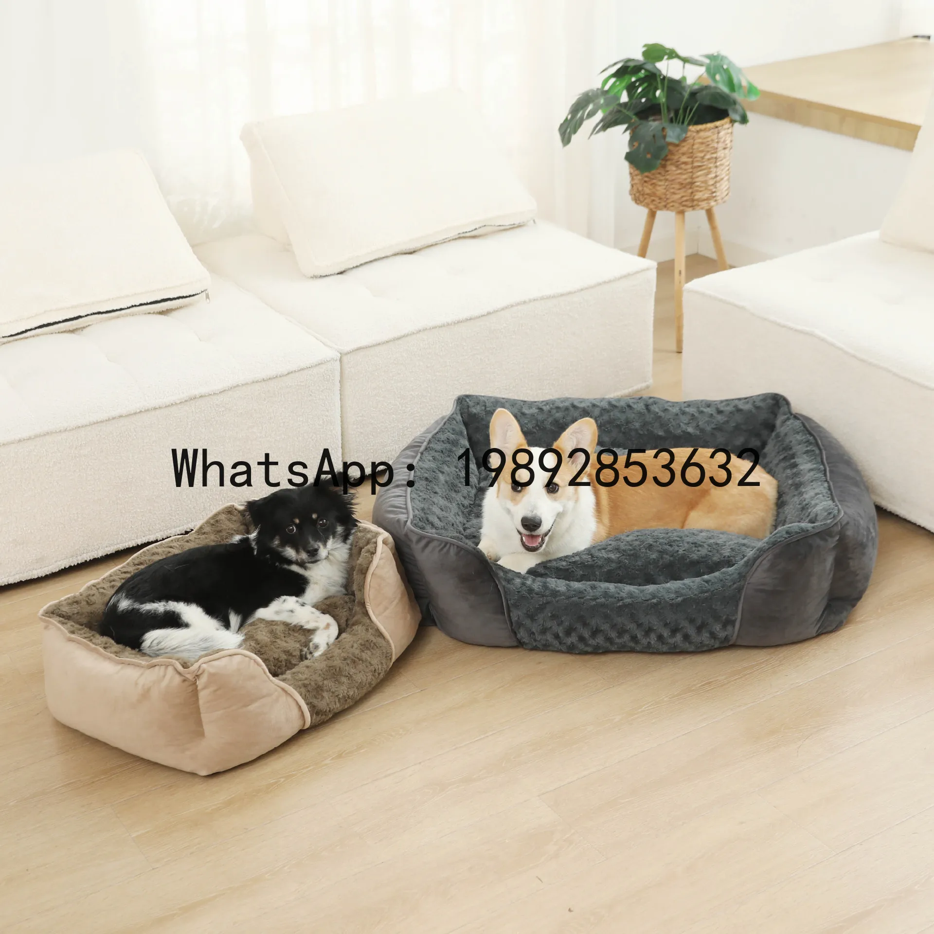 Pet X Supplies & Tack Reviews - Casa para gatos X, caseta para