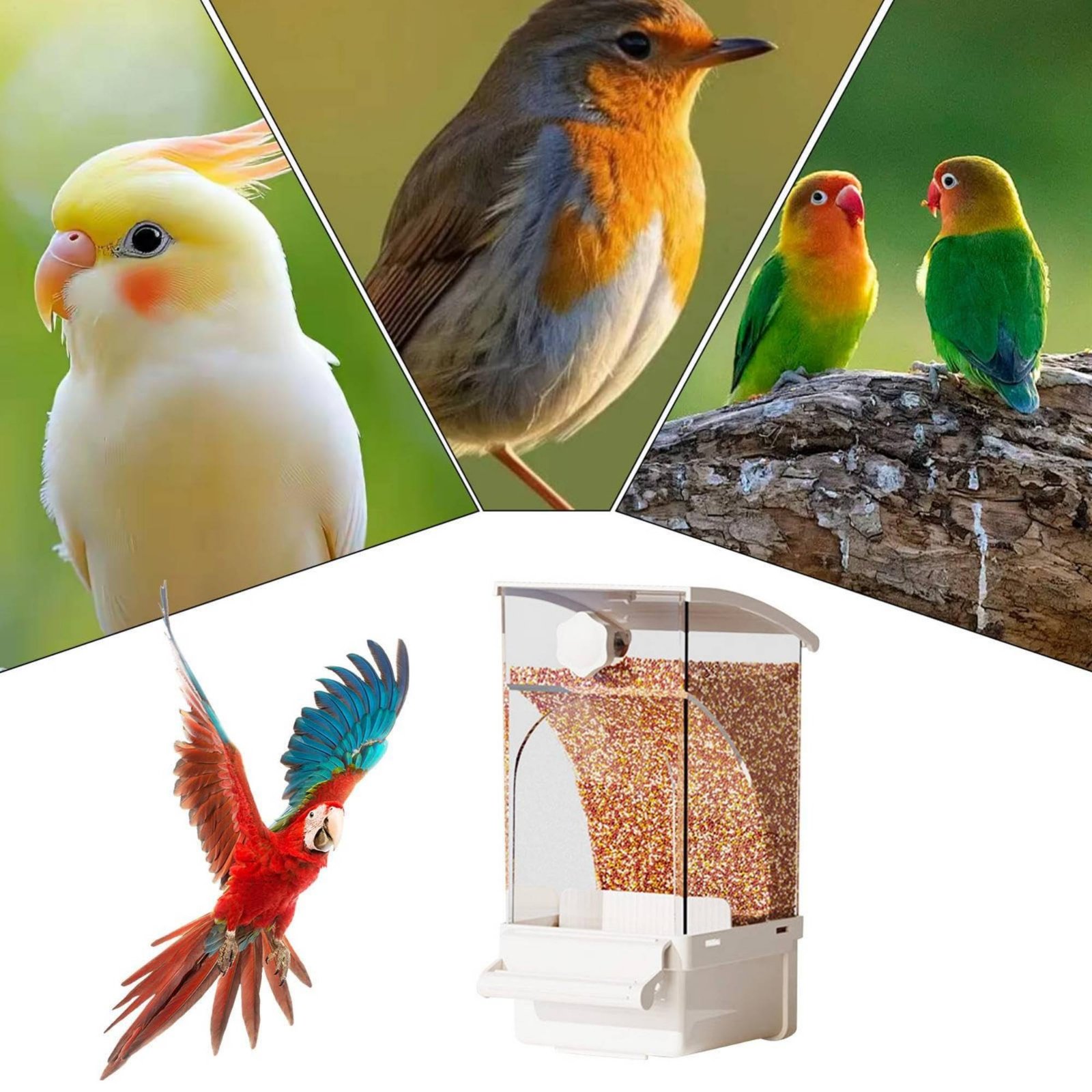 Pet Supplies Us - Comedero Automático para Aves con Separación