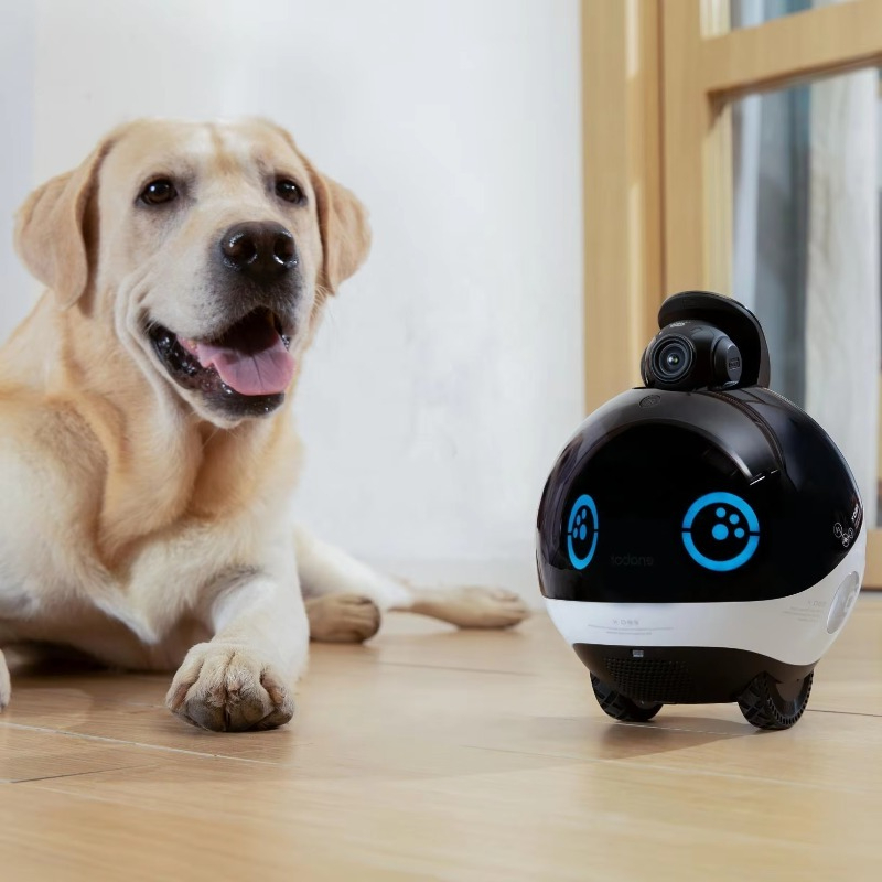 Interactive Cat Toy - Robot Familiar Inteligente con Monitoreo HD,