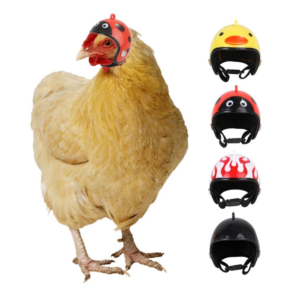 Pet X Supplies & Tack Reviews - ABS Artículos para Mascotas, Divertido Casco