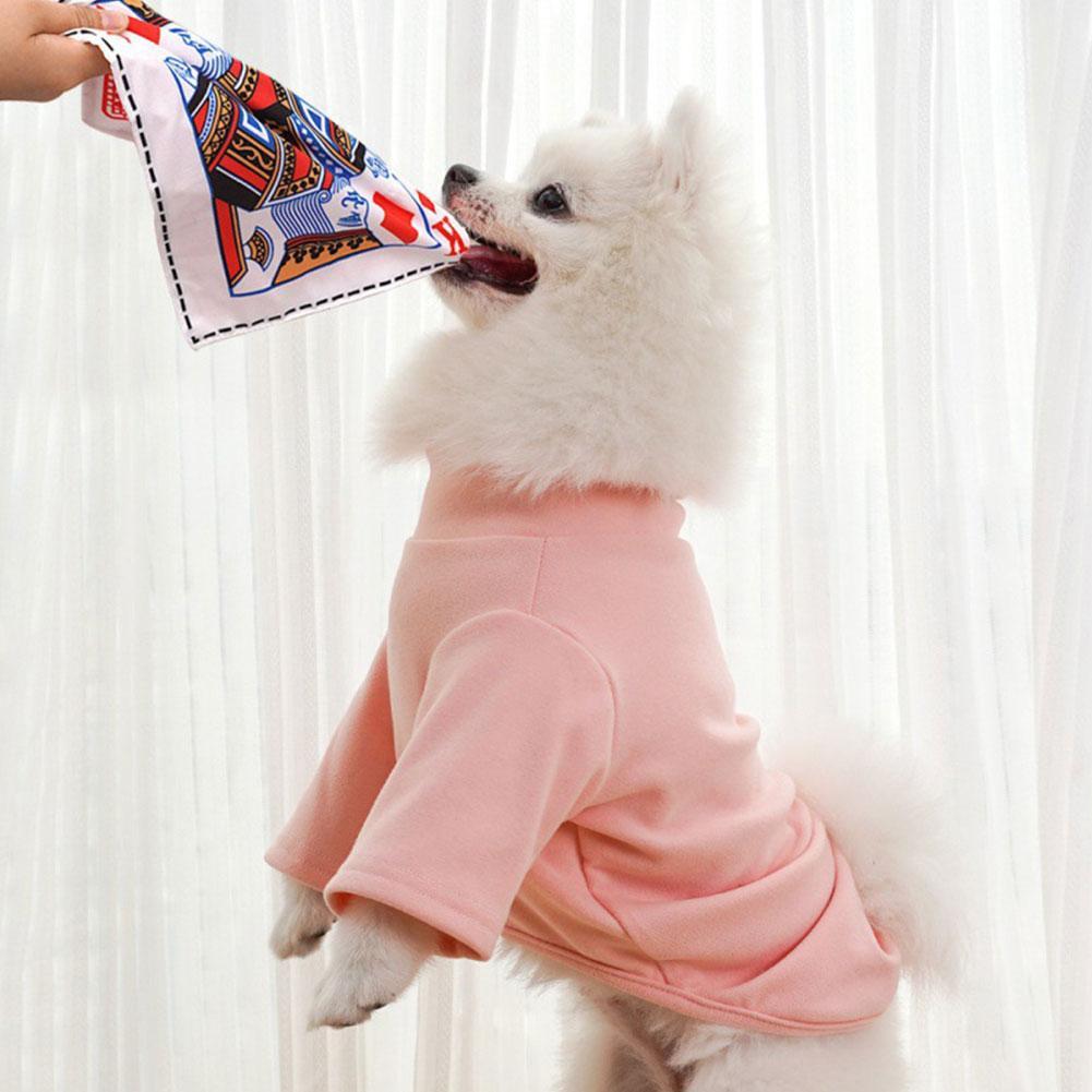 Juguete interactivo para perro - Pet Dental Chew Toy reseña y precio