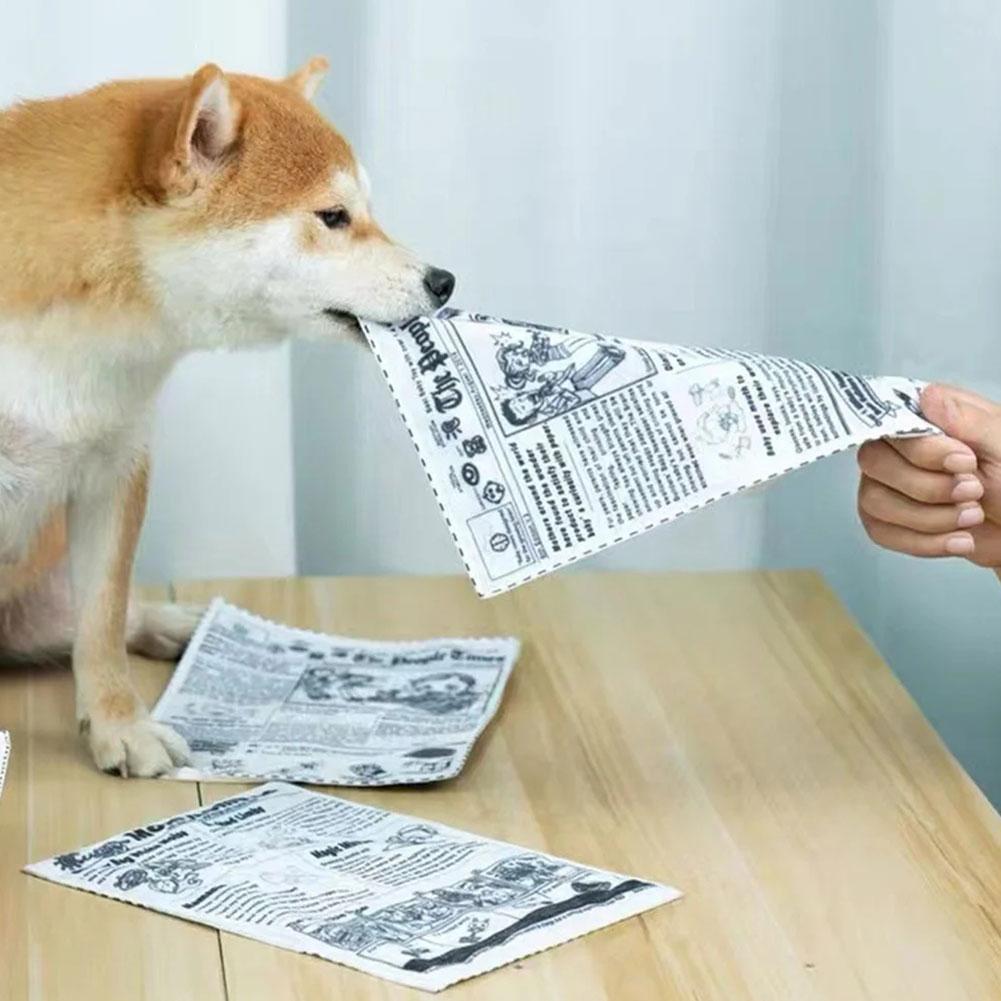 Juguete interactivo para perro - Pet Dental Chew Toy reseña y precio