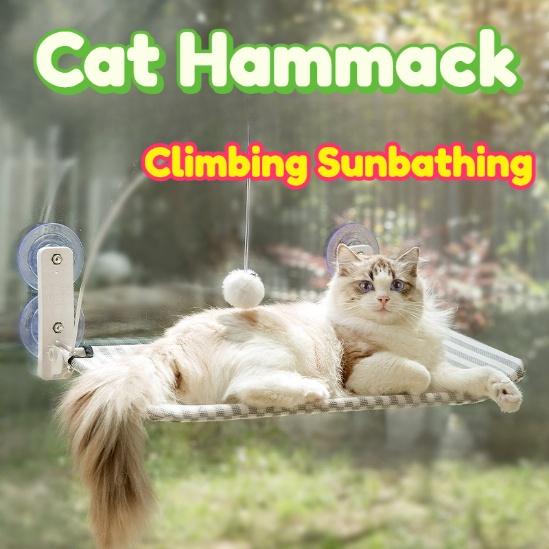 Hamaca para gatos para ventana - Interactive Cat Toy reseña y precio