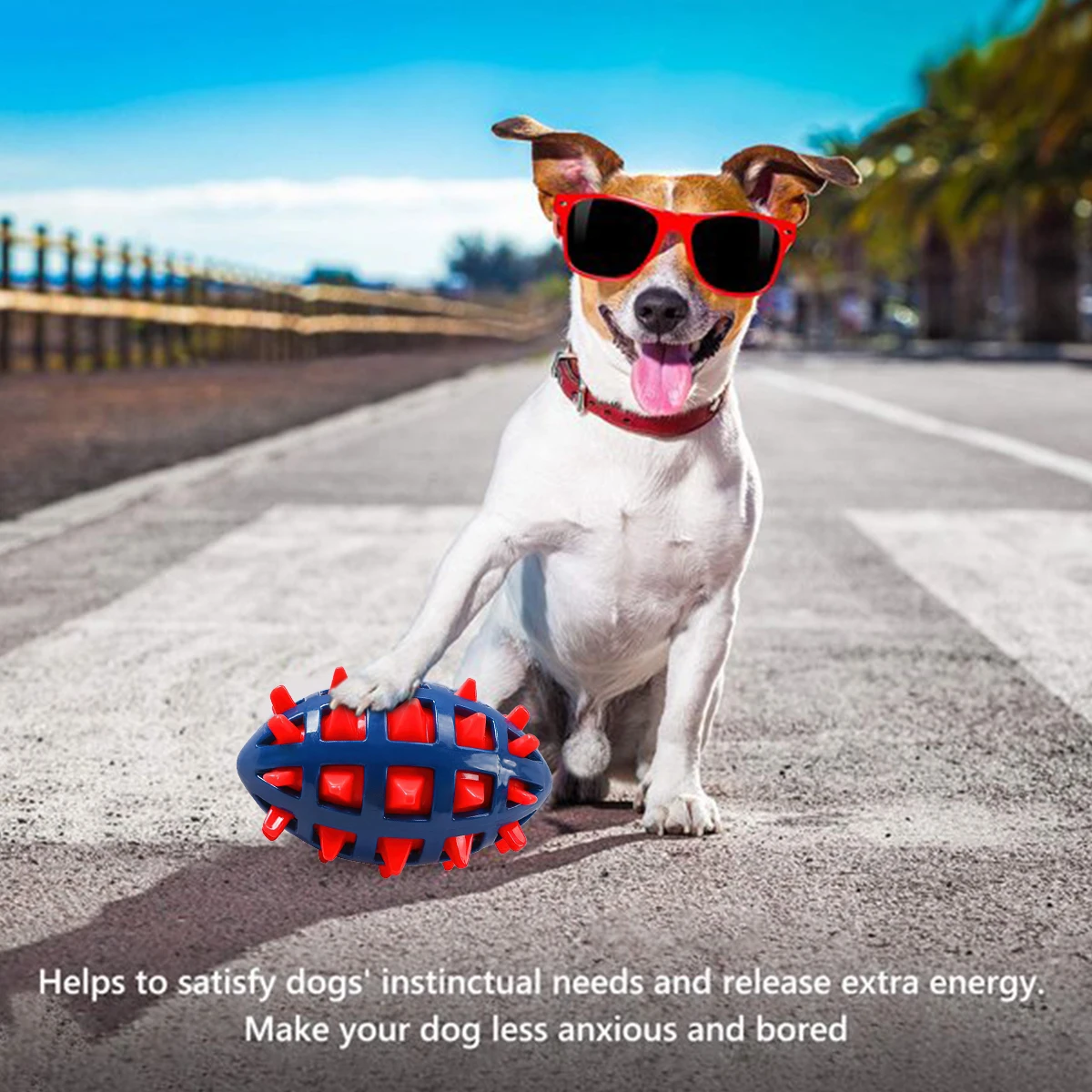 Juguete interactivo para masti - Pet Dental Chew Toy reseña y precio
