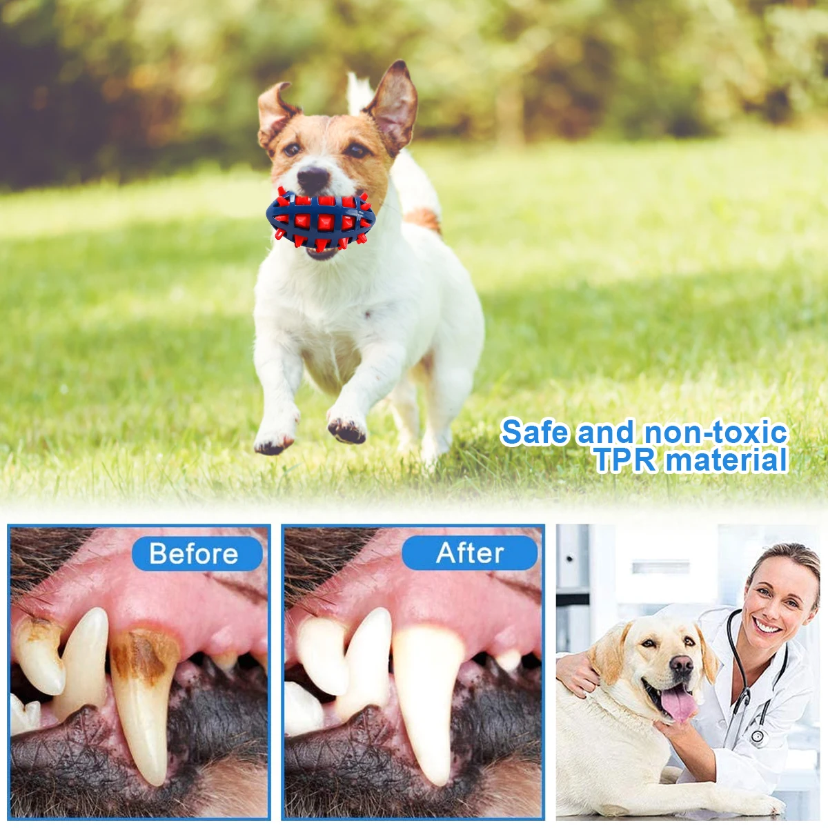 Juguete interactivo para masti - Pet Dental Chew Toy reseña y precio