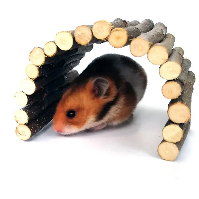 Accesorios para conejos, rama  - Pet Supplies Login reseña y precio
