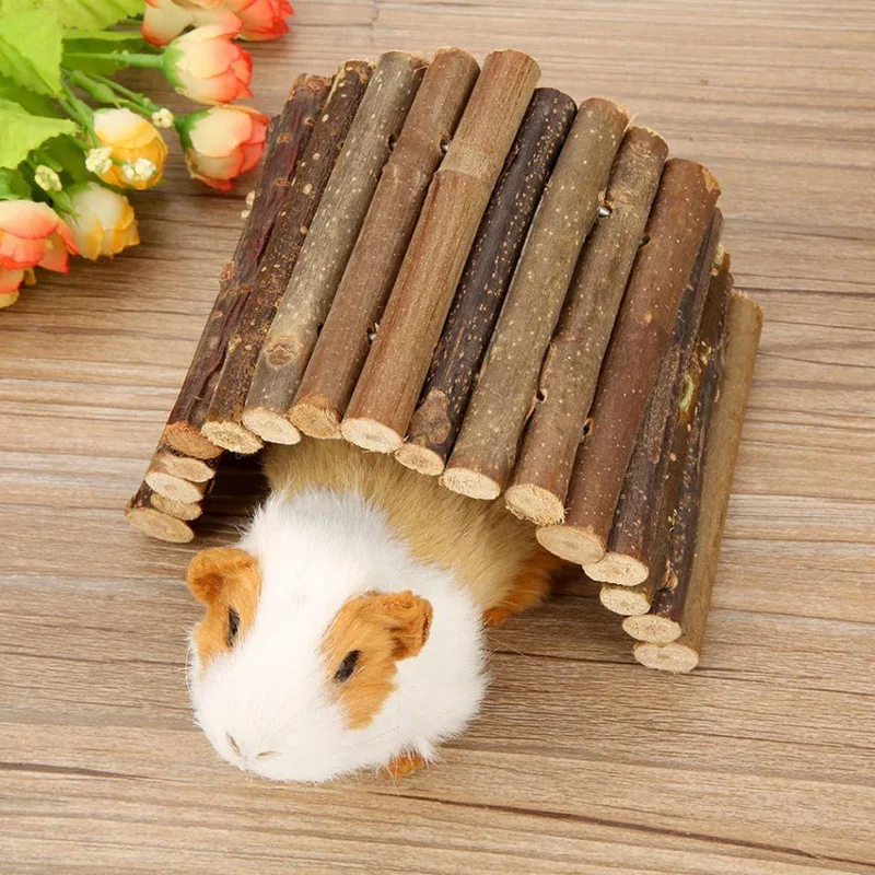 Accesorios para conejos, rama  - Pet Supplies Login reseña y precio