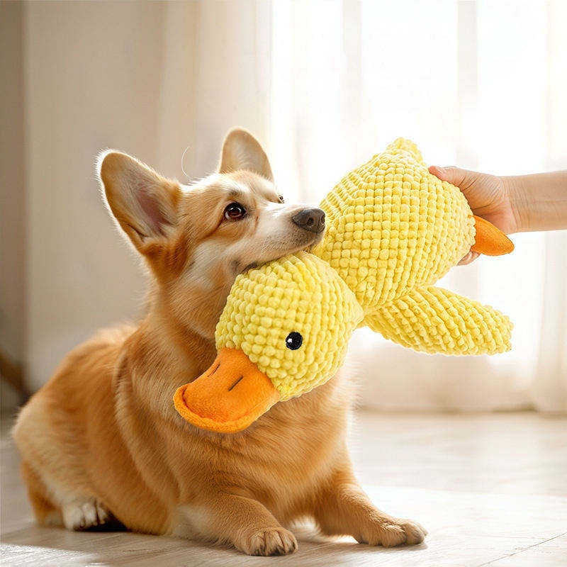 Juguete de Peluche para Perros - Pet Dental Chew Toy reseña y precio