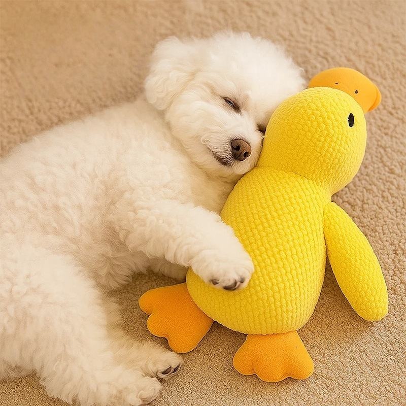 Juguete de Peluche para Perros - Pet Dental Chew Toy reseña y precio