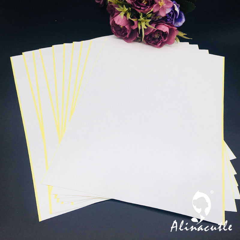 Cinta adhesiva transparente de - Pet X Supplies & Tack Reviews reseña y precio