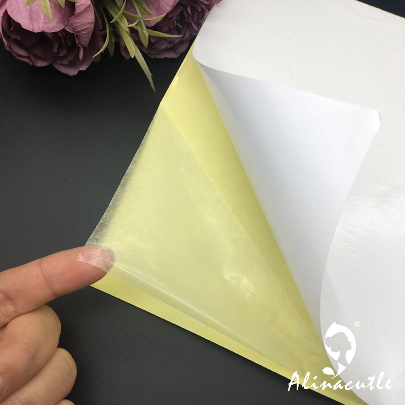 Cinta adhesiva transparente de - Pet X Supplies & Tack Reviews reseña y precio
