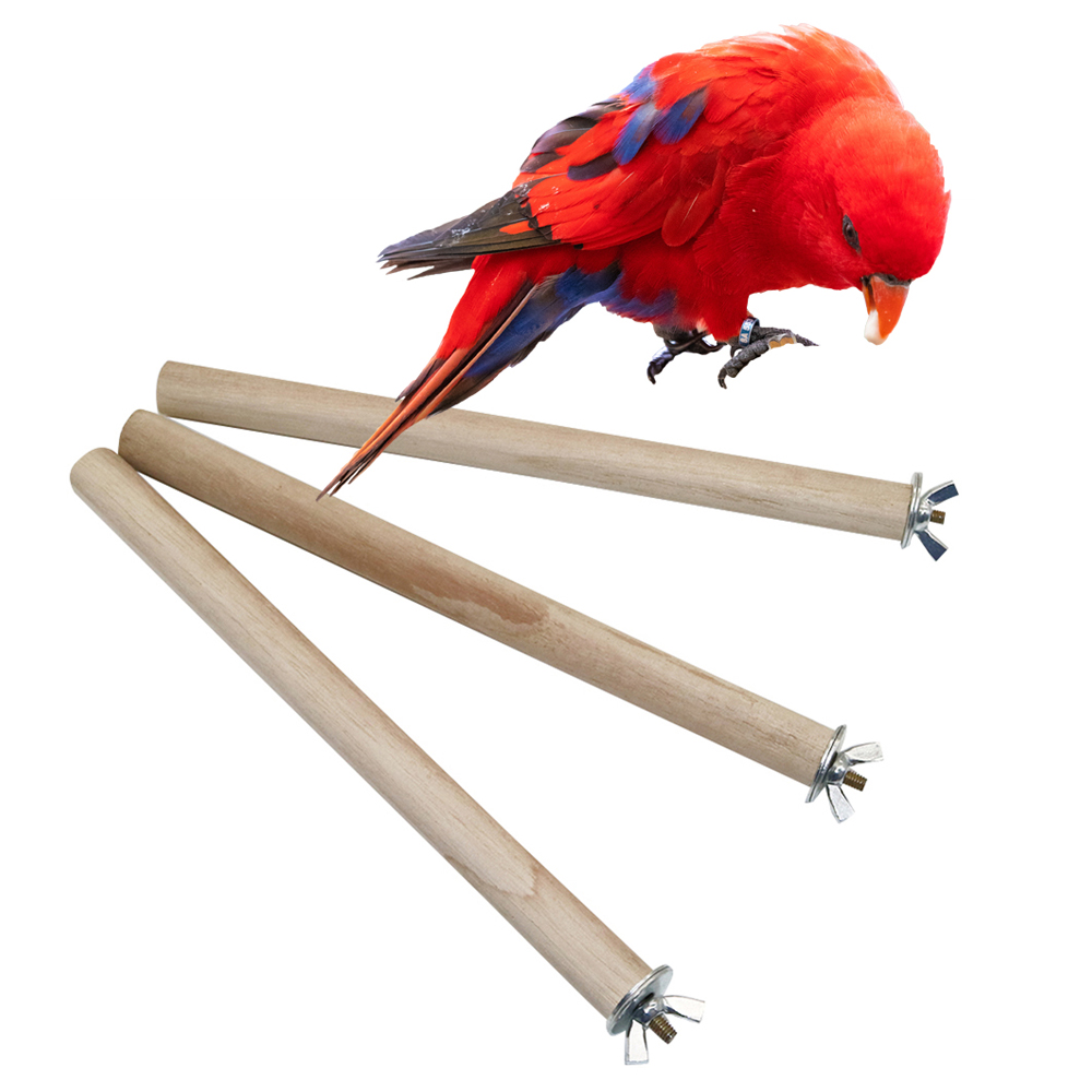 Colgador de registro de aves p - Pet Supplies Login reseña y precio