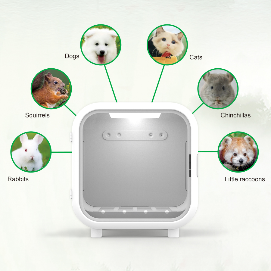 Equipo de Oxígeno para Mascota - Pet Supplies Vet Clinic reseña y precio
