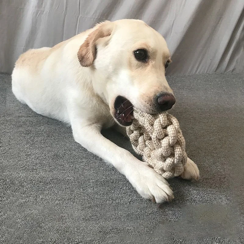 Juguete de Nudo para Perros y  - Pet Dental Chew Toy reseña y precio