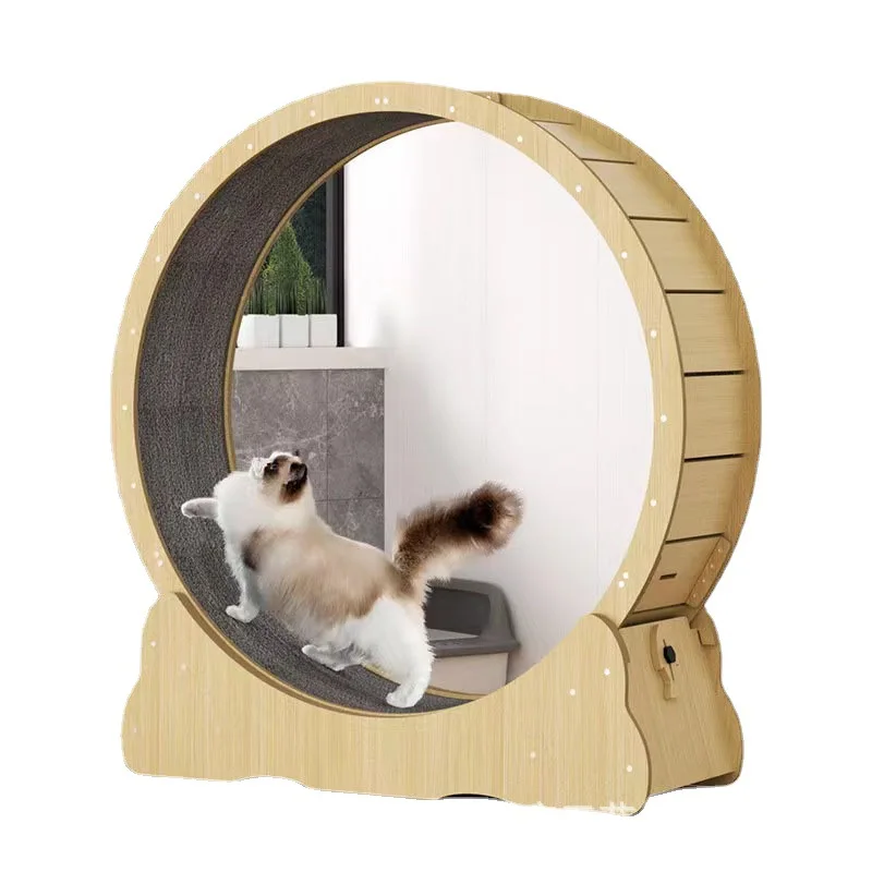 Rueda de fitness para gatos, j - Interactive Cat Toy reseña y precio