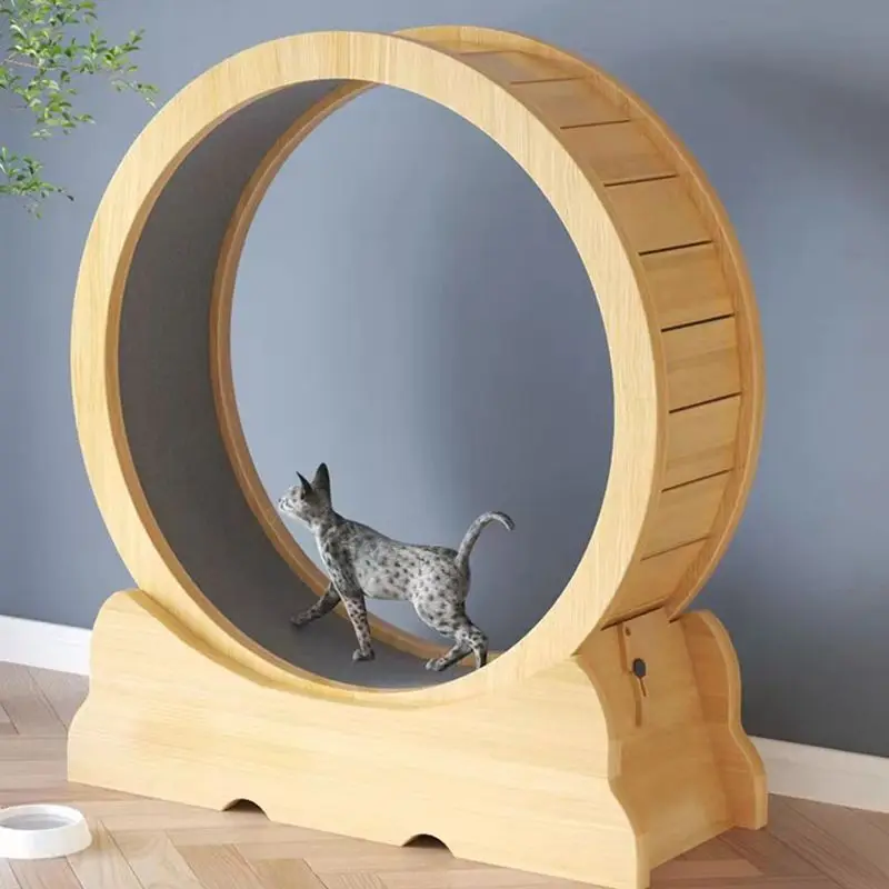 Rueda de fitness para gatos, j - Interactive Cat Toy reseña y precio
