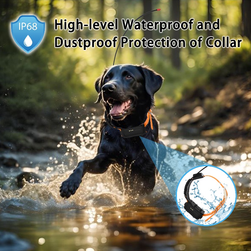 Rastreador GPS para la Salud C - Pet Supplies Login reseña y precio