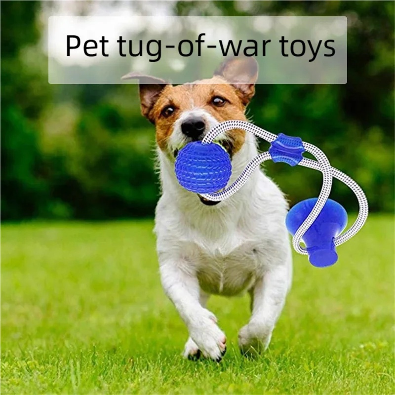 Juguete Resistente con Ventosa - Pet Dental Chew Toy reseña y precio