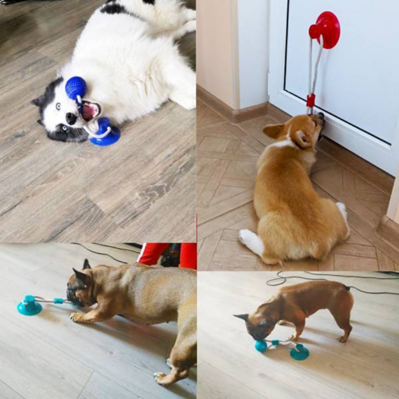 Juguete Resistente con Ventosa - Pet Dental Chew Toy reseña y precio