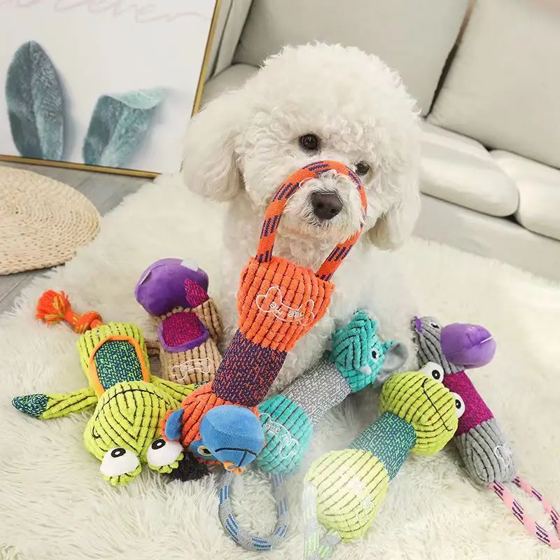 Juguete interactivo de dibujos - Pet Dental Chew Toy reseña y precio