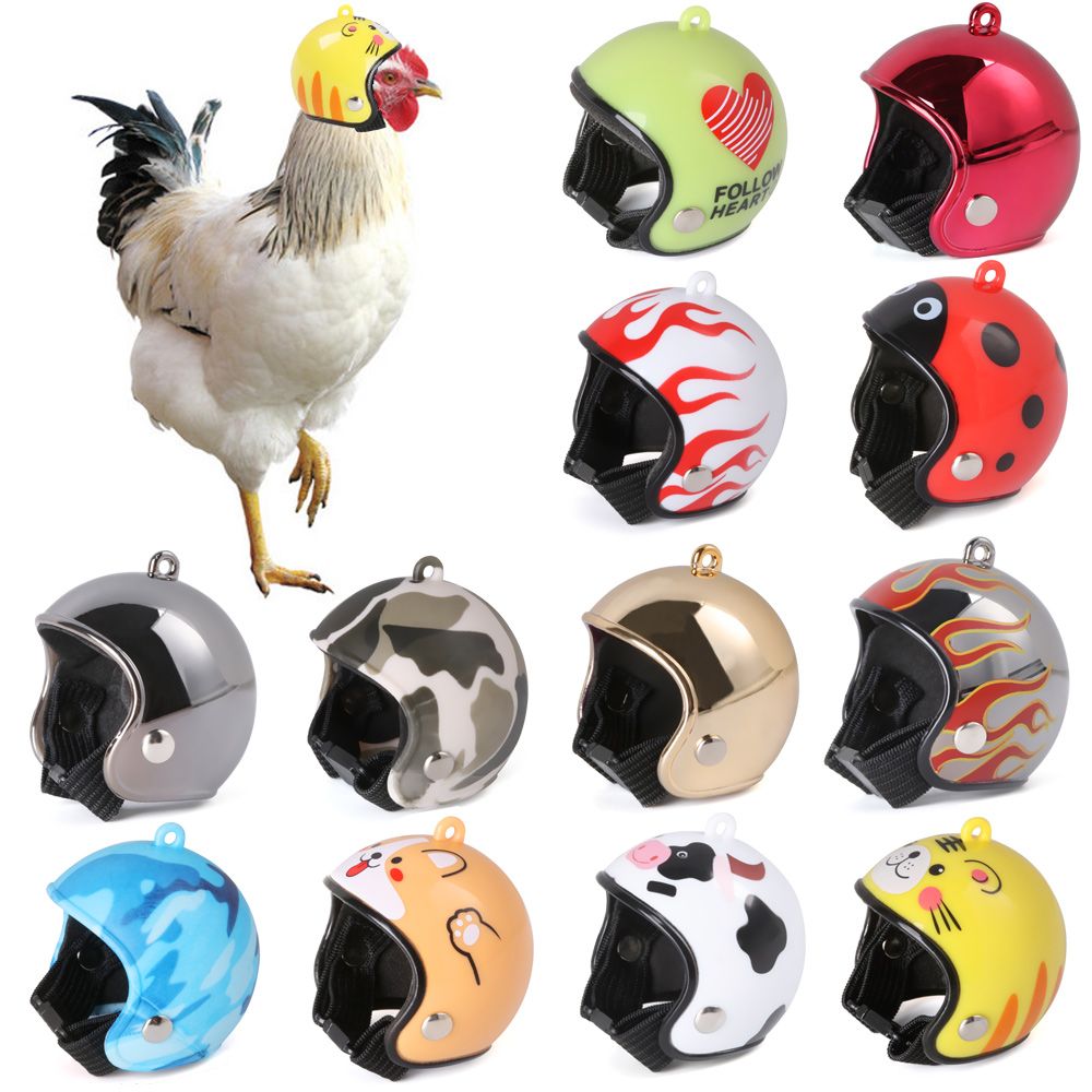 ABS Artículos para Mascotas, D - Pet X Supplies & Tack Reviews reseña y precio