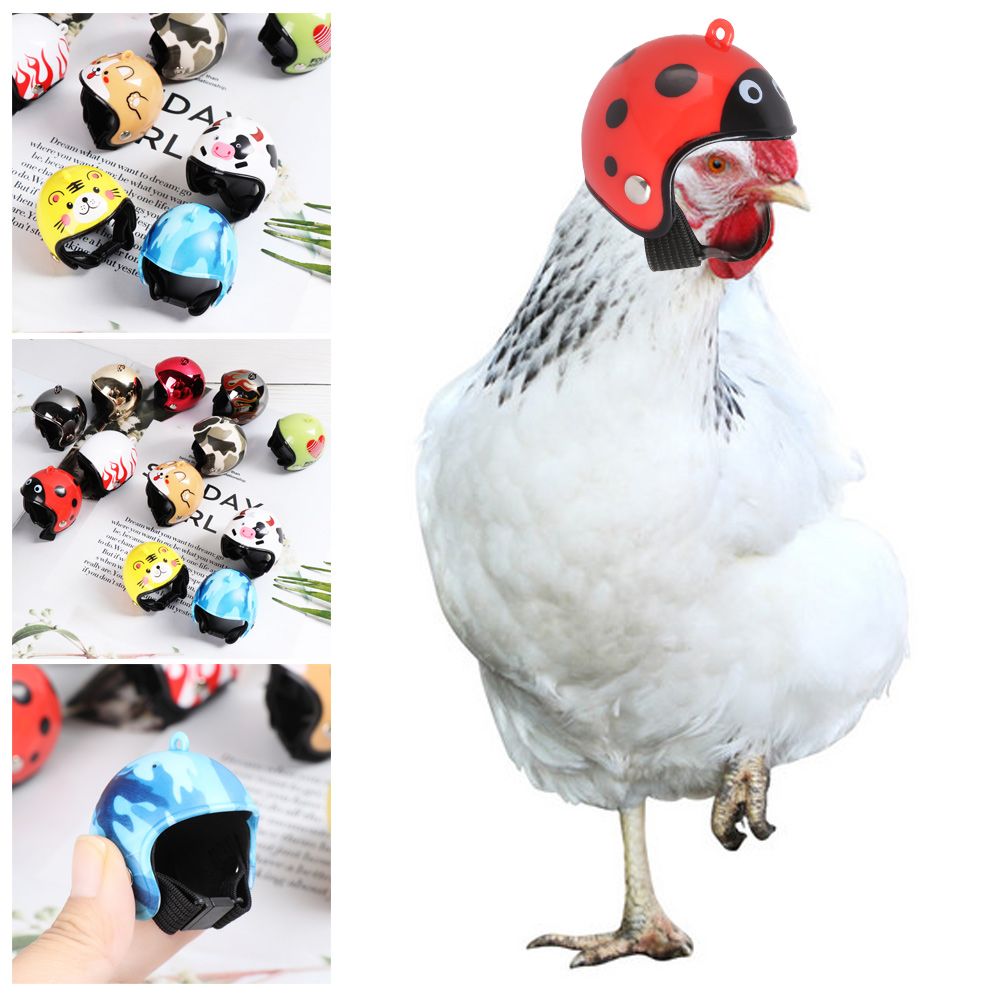 Divertidos Accesorios para Mas - Pet X Supplies & Tack Reviews reseña y precio