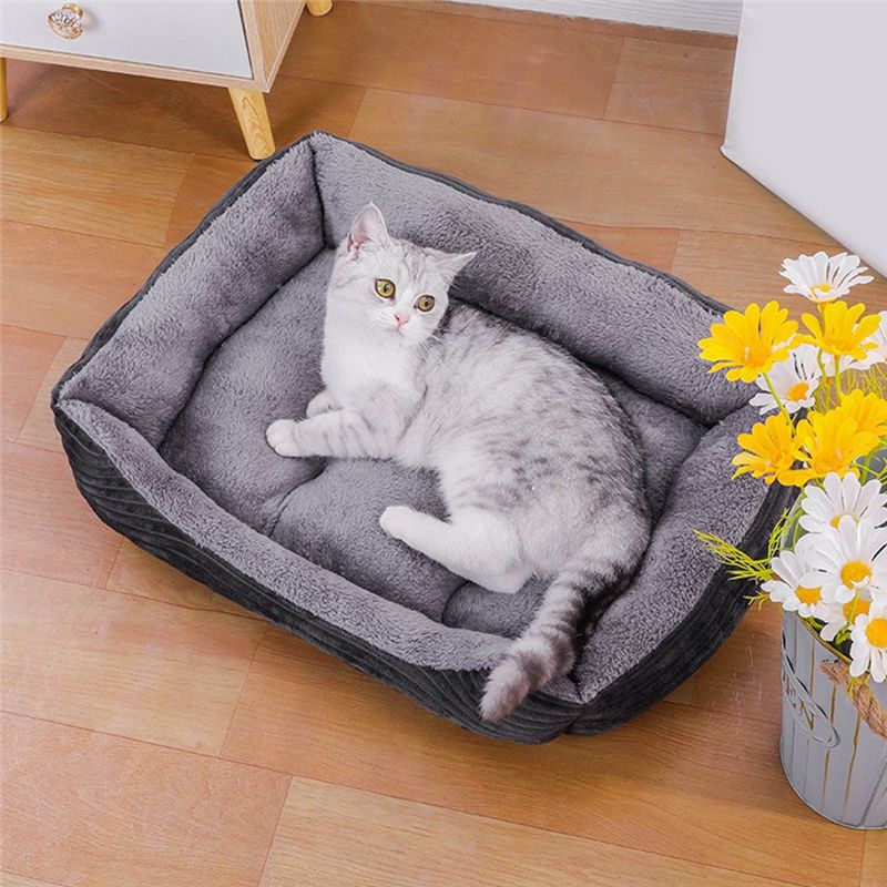 Cama para Perro AEA9-Gris, Cam - Pet X Supplies & Tack Reviews reseña y precio